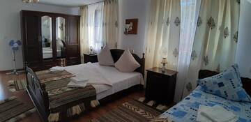 Фото номера Трехместный номер с ванной комнатой Гостевой дом Pensiunea Casa Godja г. Văleni 5