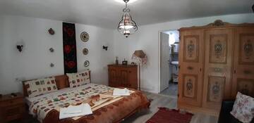 Фото номера Двухместный номер с 1 кроватью Гостевой дом Pensiunea Casa Godja г. Văleni 2