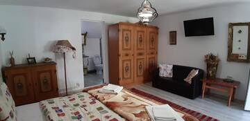 Фото номера Двухместный номер с 1 кроватью Гостевой дом Pensiunea Casa Godja г. Văleni 3