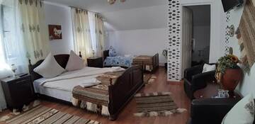 Фото номера Трехместный номер с ванной комнатой Гостевой дом Pensiunea Casa Godja г. Văleni 6
