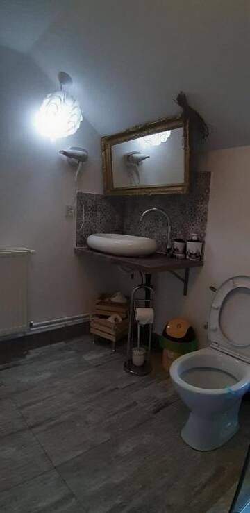 Фото номера Двухместный номер с 1 кроватью Гостевой дом Pensiunea Casa Godja г. Văleni 4