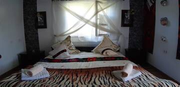 Фото номера Двухместный номер с 1 кроватью, вид на сад Гостевой дом Pensiunea Casa Godja г. Văleni 4