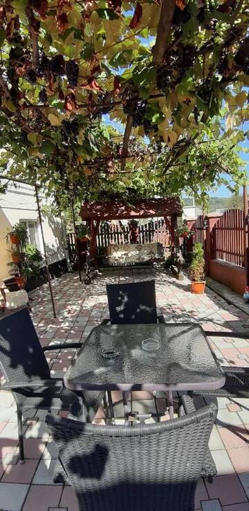 Фото номера Cемейный номер с собственной ванной комнатой Гостевой дом Pensiunea Casa Godja г. Văleni 2